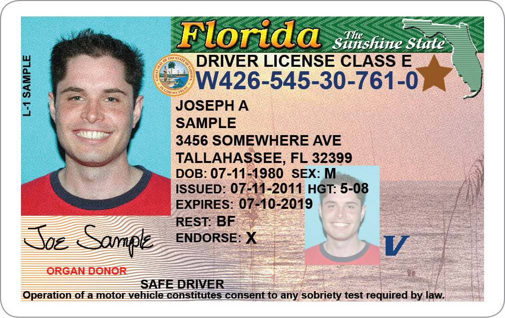 Florida drivers license psd