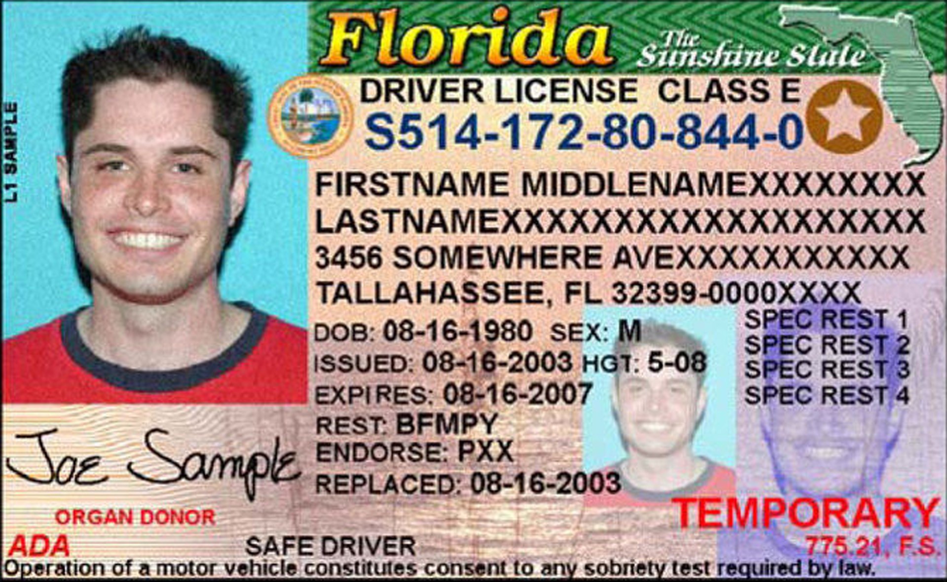 Blank Florida Drivers License Template Energyquotes
